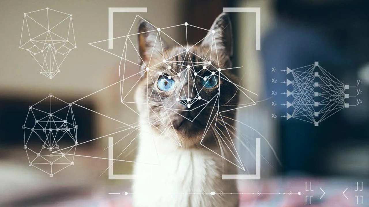 Desbloquea el potencial de tus imágenes con inteligencia artificial